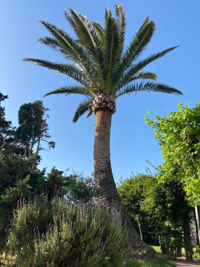 Banti Garden Hotel Tarifa Exterior photo